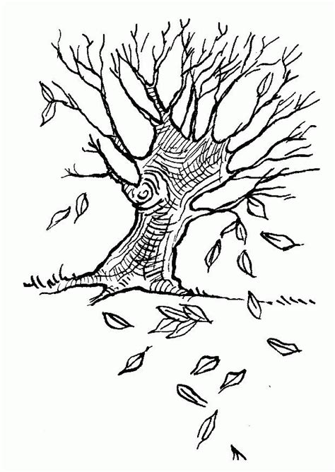 coloring page  trees coloring home