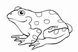 Coloring Frog Pages Jumping Clipart Frogs sketch template