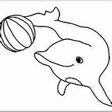 Jogando Golfinho Dolfijn Golfinhos Brincando Tudodesenhos Squirtle sketch template
