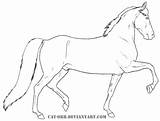 Coloring Morgan Pages Horse Drawing Printable Horses Color Template sketch template