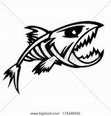 Fish Scary Skeleton Drawing Cartoon Getdrawings Lightbox Vector Create sketch template