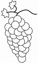 Uva Grapes Colorare Buah Mewarnai Anggur Grappolo Uvas Bunch Grape Pintar Lavoretto Anak sketch template
