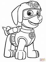 Coloring Paw Patrol Pages Printable Source sketch template
