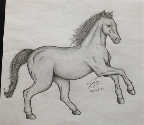 drawing pencil drawing   draw  horse