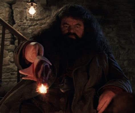 Rubeus Hagrid S Wand Harry Potter Wiki Fandom