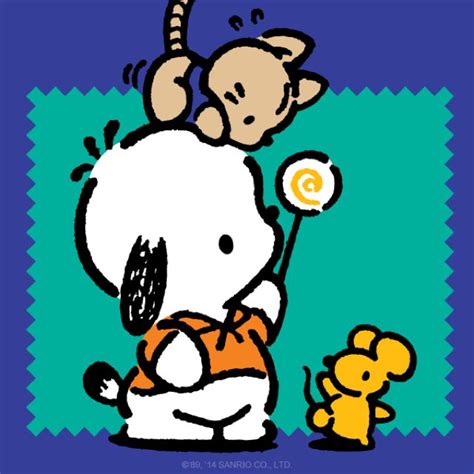 pochacco images  pinterest  kitty sanrio characters