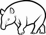 Tapir Weebly Coloring Pages sketch template
