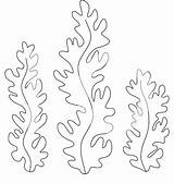 Coloring Seaweed Pages Clipart Template Printable Sea Outline Ocean Crafts Royalty Illustration Templates Pattern Google Stencils Patterns Alex Theme Para sketch template