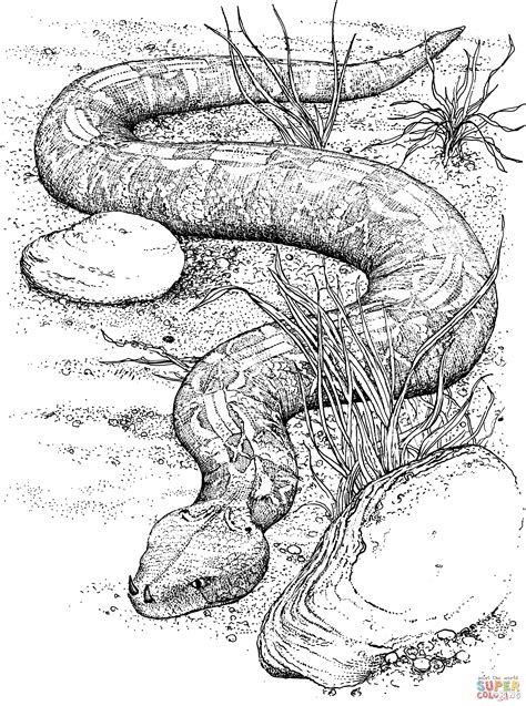 printable snake coloring page coloring home