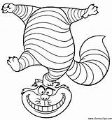 Cheshire Cat Coloring Alice Wonderland Pages Drawing Smile Disney Colouring Gif Cartoon Tattoo Characters Sheets Clipart Drawings Adult Party Cartoons sketch template