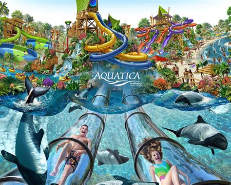 visit aquatica seaworlds waterpark    orlando vacation  water park  open year
