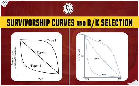 survivorship curves  rk selection  secrets  survival  nature