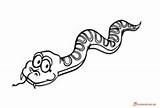 Coloring Pages Snake Anaconda Line Snakes sketch template