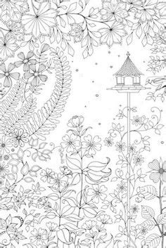 images  adult coloring  pinterest coloring pages
