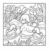 Duck Kleurend Brief Colorless Coloriage Kleurloze Canard Lettre Giraf Alfabet Kleurloos Ilustração Incolor Eend Alphabet sketch template