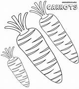 Carrot Carrots sketch template