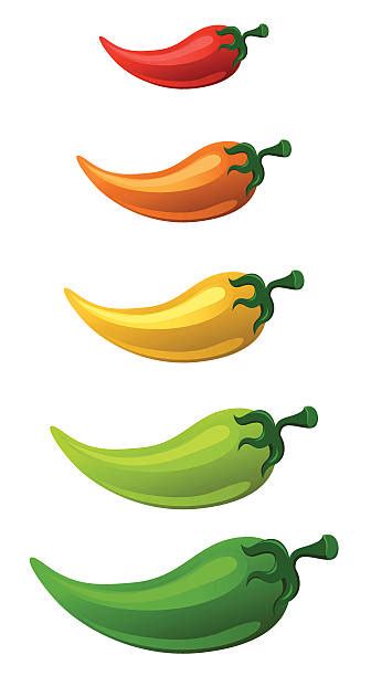 Royalty Free Jalapeno Pepper Clip Art Vector Images