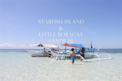 starfish island  boracay sandbar calatagan chuzai living
