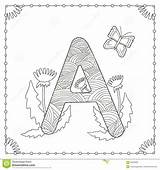 Alphabet Coloring Illustration Preview sketch template