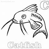 Catfish sketch template