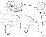 Panda Coloring sketch template