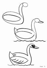 Schwan Pato Cisne Malen Aprende Interesantes Jeannine Swan Desenhar Angsa Gans Cosas Zeichenvorlagen Resultan Motivar Jean9 Tia sketch template