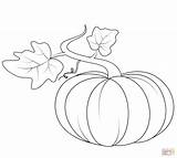 Pumpkin Coloring Leaves Pages Printable Pumpkins Leaf Drawing Halloween Visit sketch template