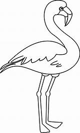 Flamant Flament Flamingo Kawaii Flamants Colorier Coloriages Dory Drawings Harmonieux Oiseau Flamingos sketch template