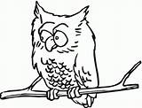 Coloring Owl Pages Popular sketch template