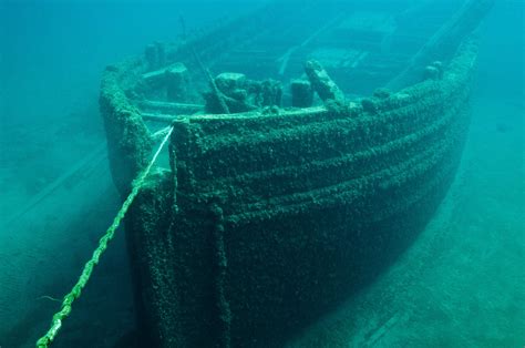 study finds  century wooden shipwrecks   thriving habitats