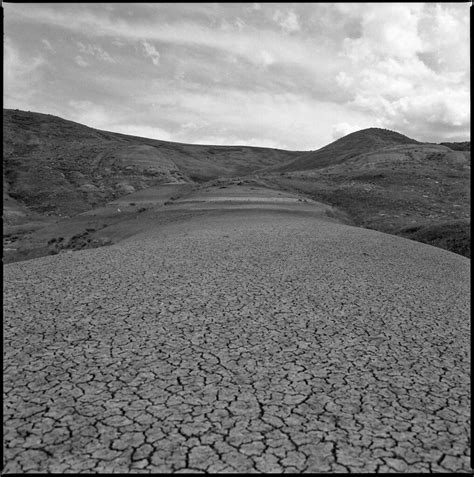 dry  photo  flickriver