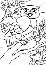 Owl Birds Tree Cute Coloring Pages Branch Drawing Bird Sitting Cartoon Template Getdrawings Sits sketch template