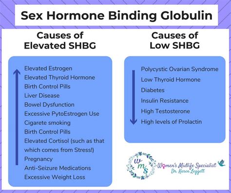 sex hormone binding glob content health encyclopedia university of
