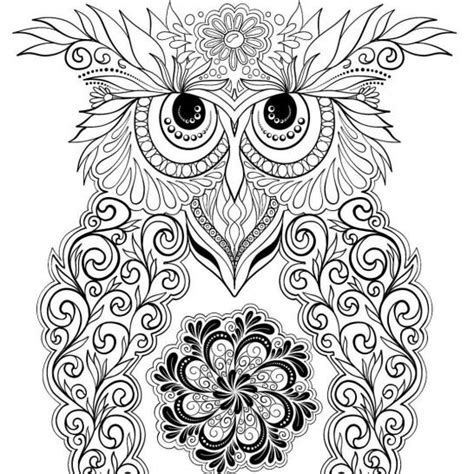 pin  amber brennand  owl coloring pages owl coloring pages owl