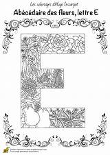 Initials sketch template