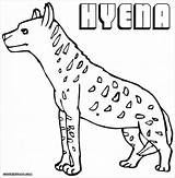 Hyena Spotted Coloringbay sketch template