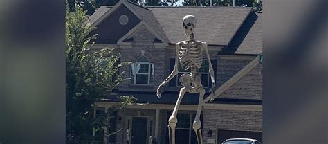home depots giant  ft tall halloween skeleton decoration bryan shaw bryan shaw