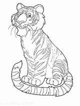 Exotic Animal Coloring Tiger Safari Happy sketch template