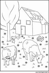 Bauernhof Malvorlagen Ausdrucken Ausmalbild Malvorlage sketch template