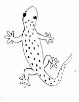 Gecko Lizard Drawing Simple Draw Easy Print Drawings Step Enjoyed Lesson Become Pdf If When Patreon Supporter Paintingvalley Samanthasbell sketch template