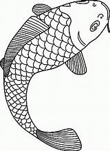 Fish Coloring Pages Koi Fishing Realistic Bass Coy Boat Printable Outline Drawing Lure Carp Adults Coloring4free Template Angel Japanese Colouring sketch template