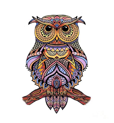 zentangle owl digital art  suzanne schaefer