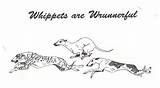 Whippet Template Pages sketch template