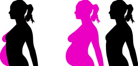 free pregnant teen cliparts download free clip art free