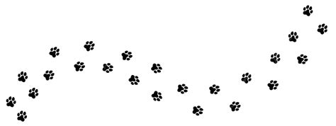 pet paw print trail    cat  dog vector texture track