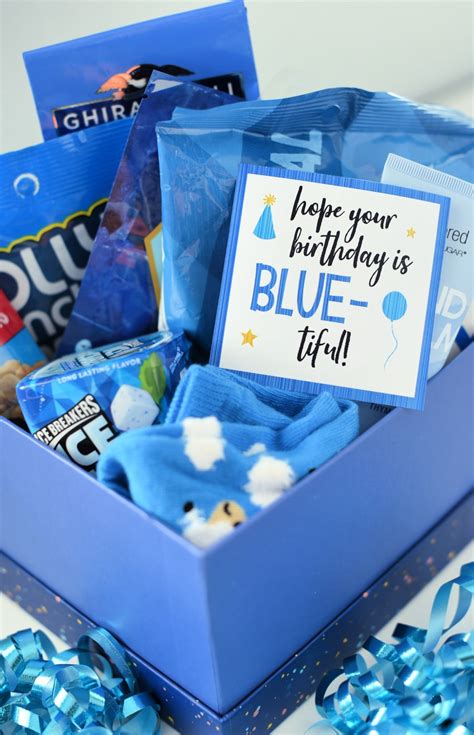 blue themed birthday gift idea crazy  projects