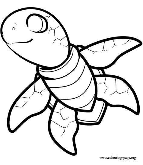 funny turtle coloring pages coloring pages
