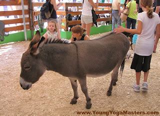 kids active  donkey kicks kids yoga actifvity