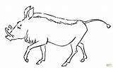 Warthog Coloring Pages Supercoloring Color Printable Animal Drawing Animals Printables Colouring Activities Choose Board Categories sketch template