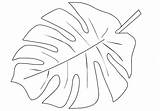 Monstera Bladeren Crayola Kleurplaat Palmier Shape Feuille Coloriage Palmboom Dessin Kleurplaten Tropische Safari Coloringfolder sketch template